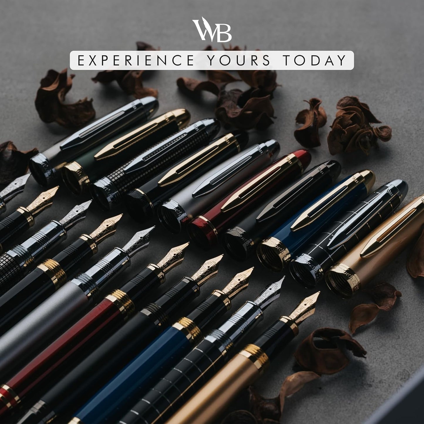 Wordsworth & Black Majesti Fountain Pen - (Checked), Luxury Case, Chrome Finish, Iridium Medium Nib - 24 Ink Cartridges, Refillable Ink Converter-Calligraphy Pen-Best Business Gift Set for Men & Women