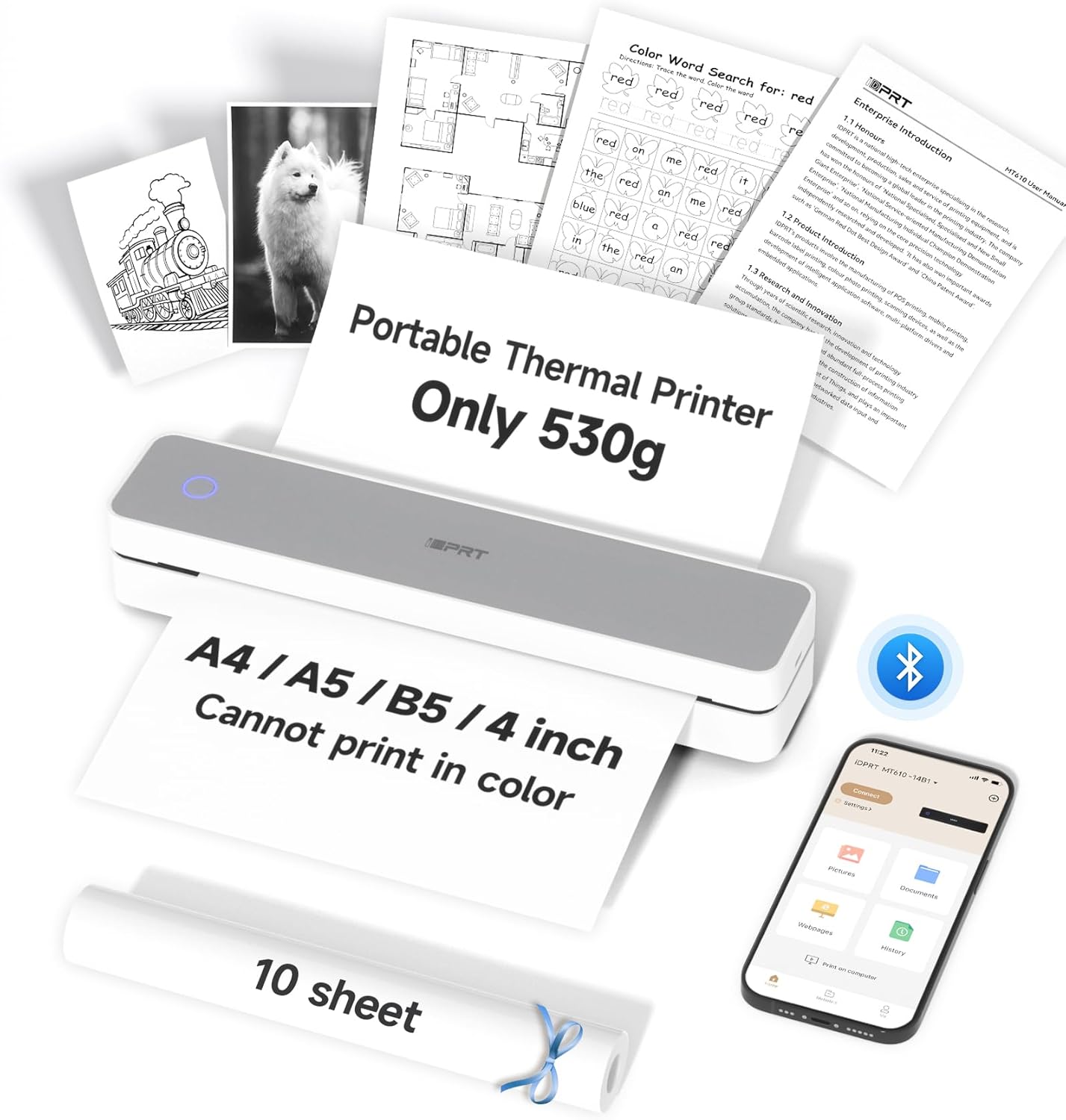 Printers & Accessories