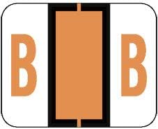 Doctor Stuff - File Folder Labels, Alphabet Letter B Stickers, Compatible with Smead BCCR/BCCS - TPAM Series Alpha Stickers Fluorescent Orange, 1" x 1-1/4", 120 Labels per Package