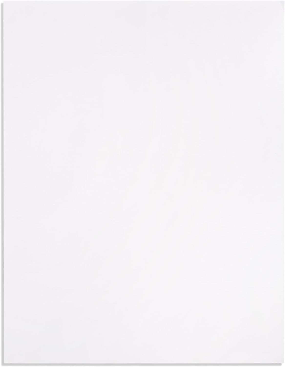 Blue Summit Catalog Envelopes, 10 x 13 Peel & Seal Envelopes, White Wove with Center Seam, 100 Envelopes