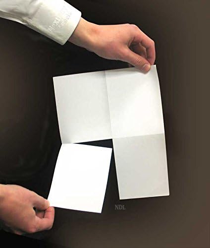 NextDayLabels - 8-1/2" x 11" Laser/Inkjet Postcards 4 Per Page, (4-1/4" x 5-1/2" Each Card | White, 1000 Cards)