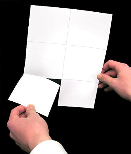 NextDayLabels - Laser Printer Blank Perforated Cards 6 up per Page, for School Registration, Flower Delivery, Wedding Response RSVP, Trip Tickets, ETC. (300 White Cards)