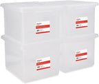 STAPLES Plastic File Box with Snap Lid, Letter/Legal Size by Staples