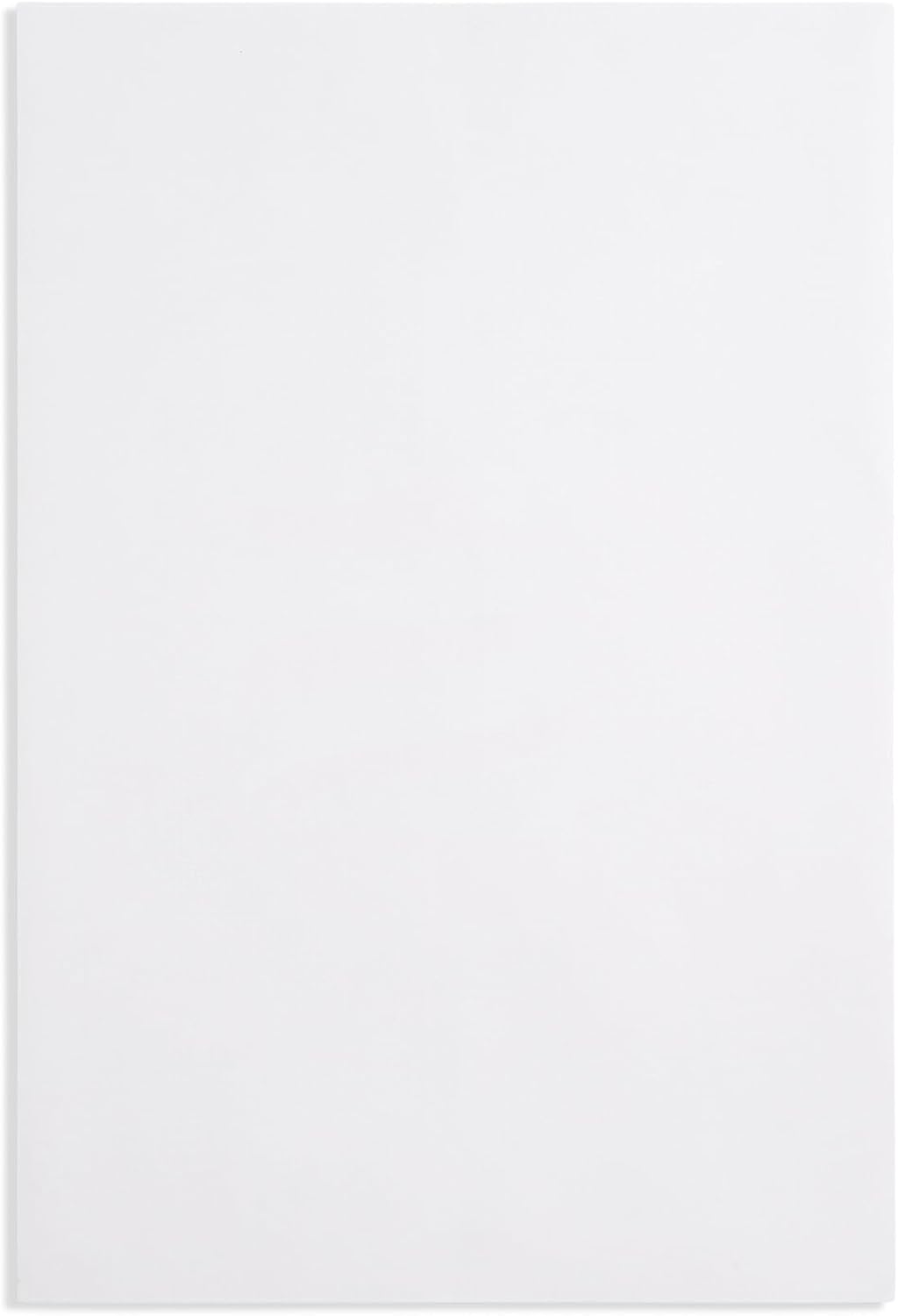 Blue Summit 50 Large Mailing Envelopes 13x18, White 13 x 18 Envelopes, Self Seal Catalog, Security Tinted for Mailing