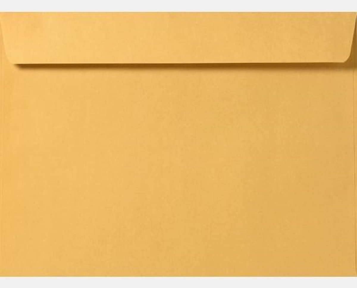 Limited Papers (TM) Booklet Envelopes, (Open Side) Brown Kraft, Gummed Seal, 28 Pound, Heavyweight, For Mailing And More. (250, 9.5 x 12)