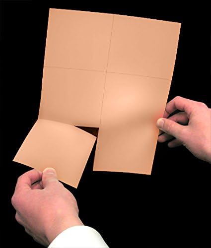 NextDayLabels - Laser Printer Blank Perforated Cards 6 up per Page (Salmon, 300 Cards)