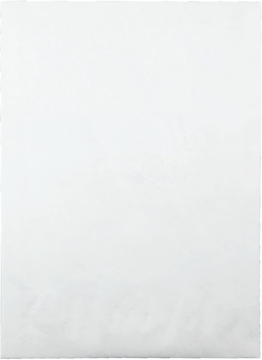 Quality Park Survivor Lightweight 14 lb Tyvek Open End 1.5" Expansion Mailers, 13 1/2, Square Flap, Redi-Strip Closure, 10 x 13, White, 25/Box