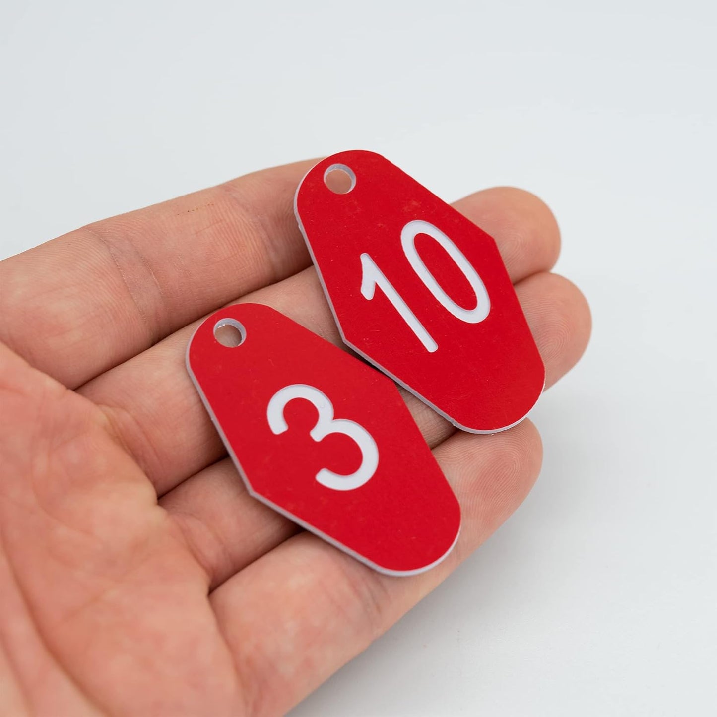 StayMax ABS Plastic Motel Hotel Room Number Tag (1-25, Red)