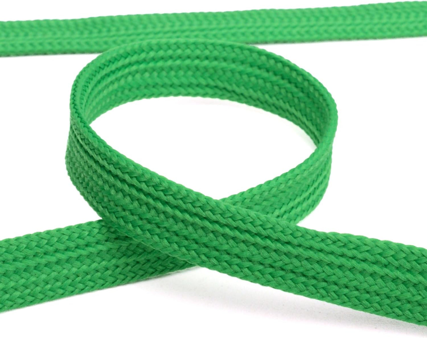 Lanyards 10 Pcs Bulk Lanyard for Id Badges Flat Lanyard with Badge Clip Swivel Hook (10, Green)