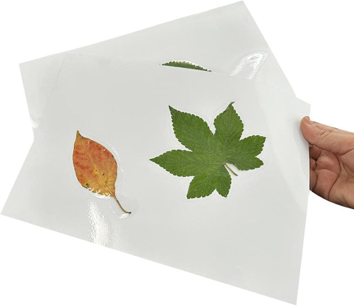 Coopaty Thermal Laminating Pouches, 9 x 11.5-Inches, 3 Mil Thick, Clear Laminating Sheets (200 Pack)