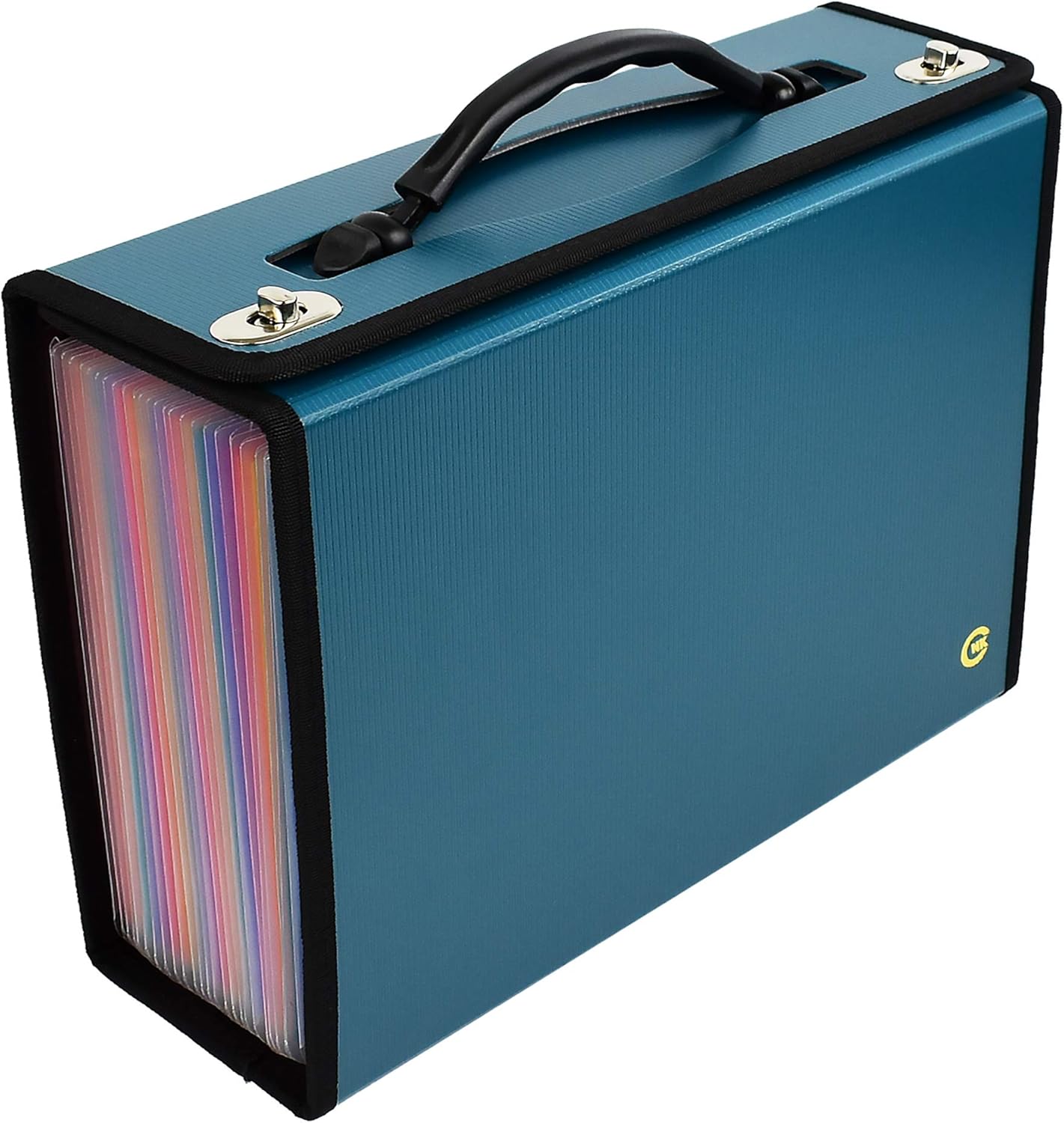 CNK Accordion File Organizer - 36 Pocket Teal Folder with Ergonomic Handle, Double Lock Buckles, Protects Documents, Durable Polypropylene, 8.5 x 11 in