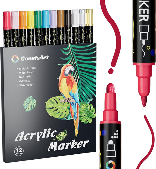 12 Colors Acrylic Paint Pens, Acrylic Paint Markers Dual Tip, with Dot Tip and Fine Tip, Acrylic Markers for Rock Painting, Wood, Canvas, Fabric, Paper, DIY Crafts Making Art Supplies (12)
