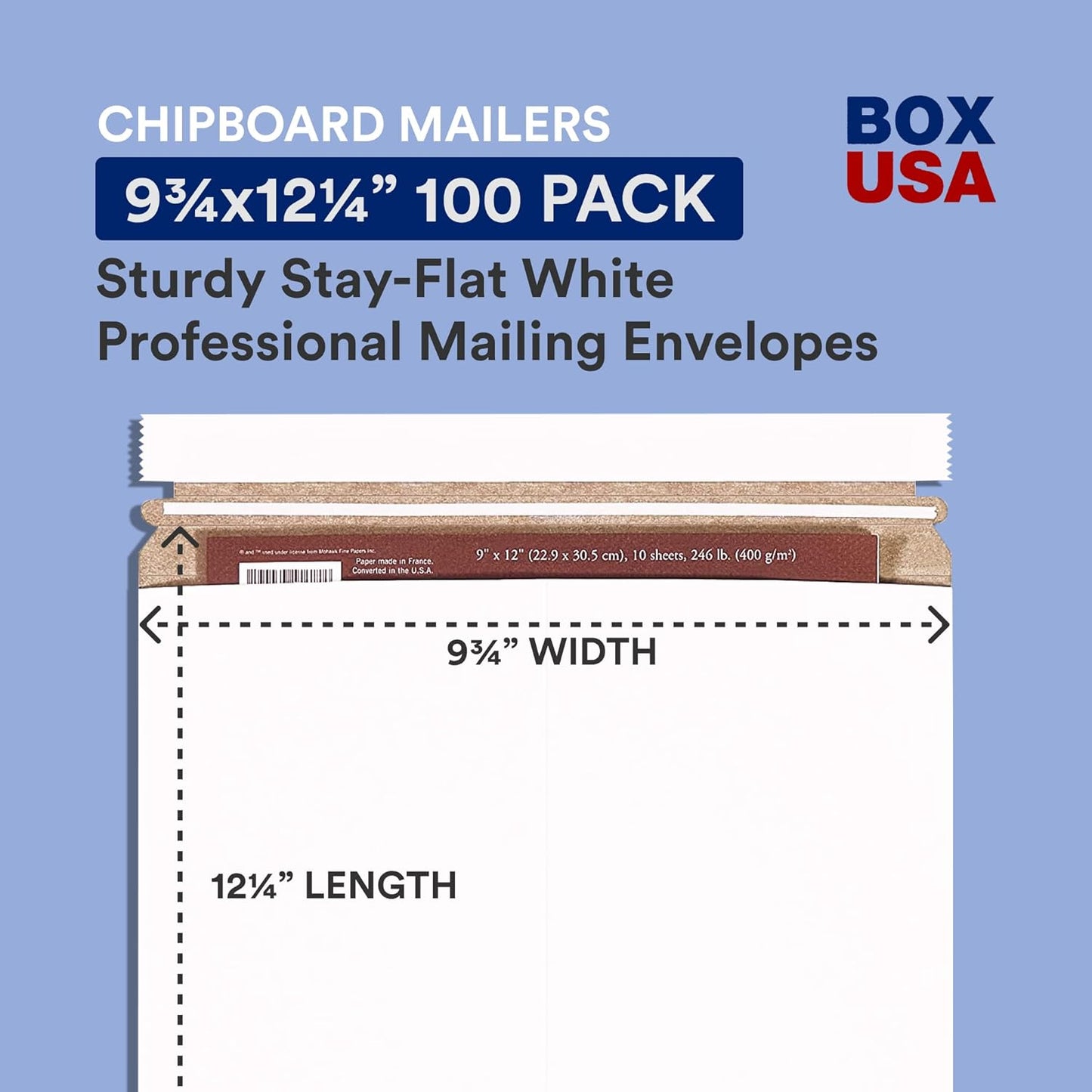 BOX USA StayFlat Mailer, 9.75"L x 12.25"W, Pack of 100 | Stayflats Envelope Keeping Photo, Document, Artwork Protected During Mailing and Shipping, 9.75x12.25