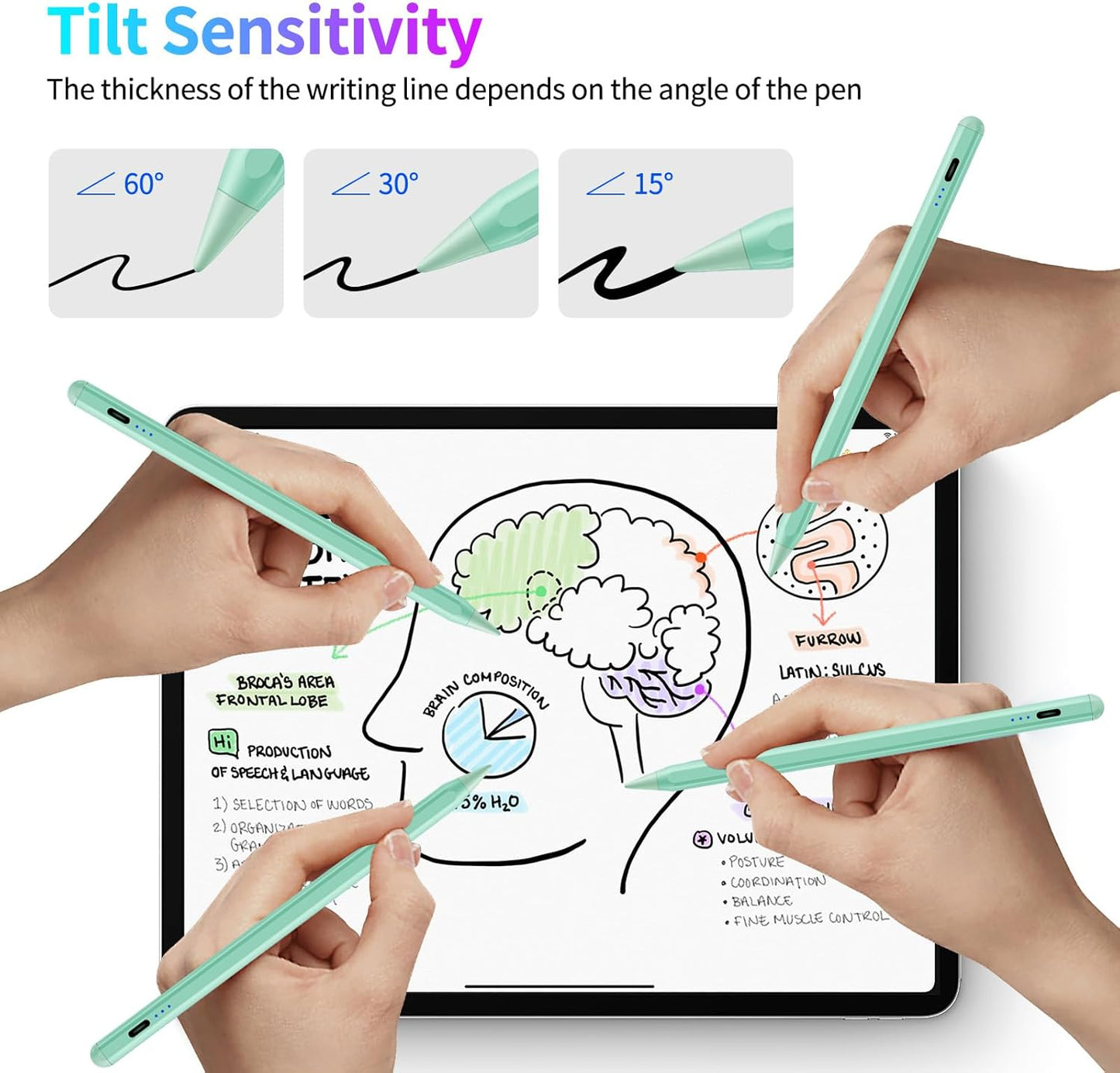 Stylus Pen for iPad, Fast Charging Pencil for Pad with Palm Rejection, Tilt Sensitivity for iPad 6-10, Pro 11"/12.9"/M4, Air 3/4/5/M2, Mini 5/6, Green