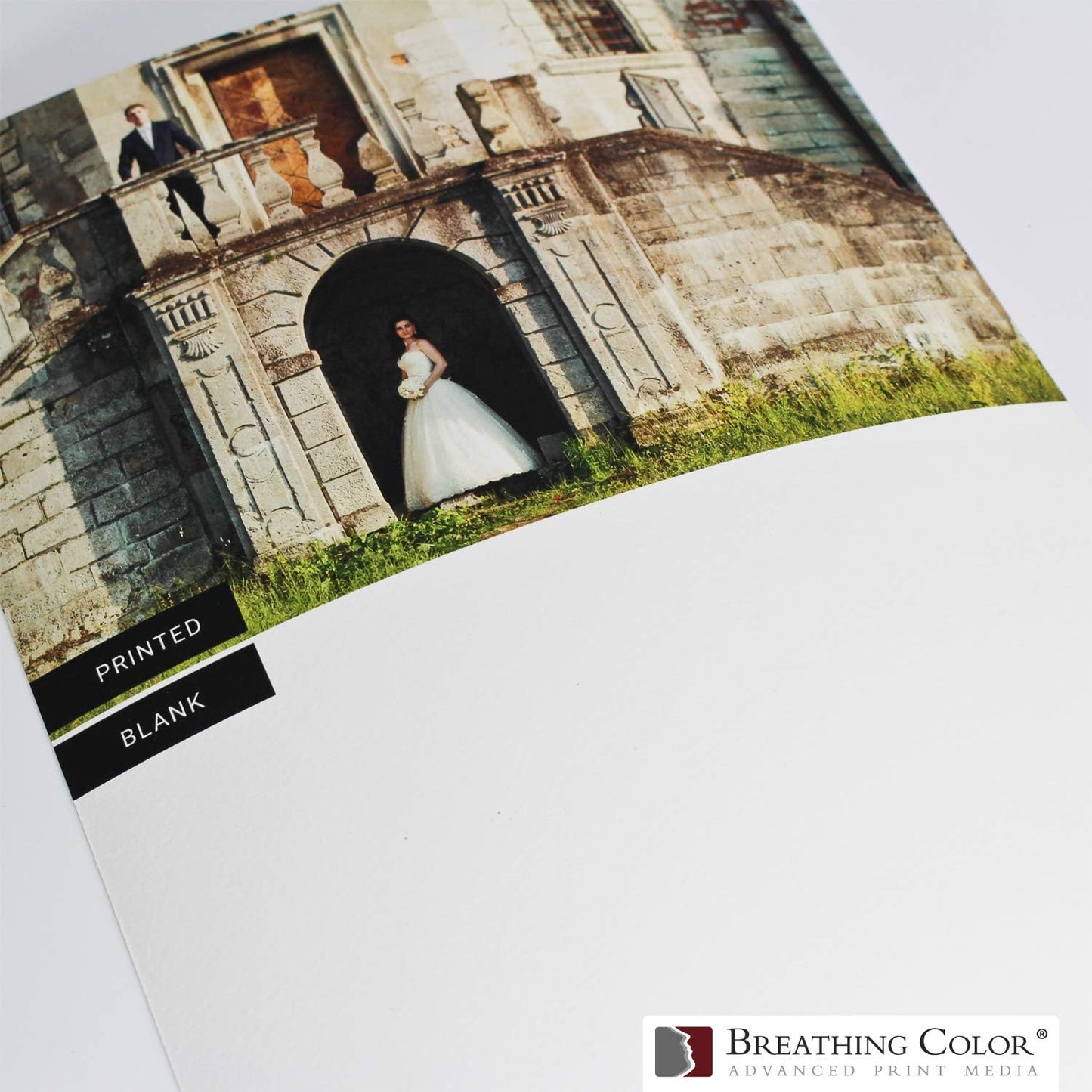 Elegance Velvet 44 in x 40 ft roll is a Premium Matte 310 gsm, Cold Pressed Bright White Museum Grade Fine Art Inkjet Paper, Compatible with Most Dye-Based and Pigment Printers