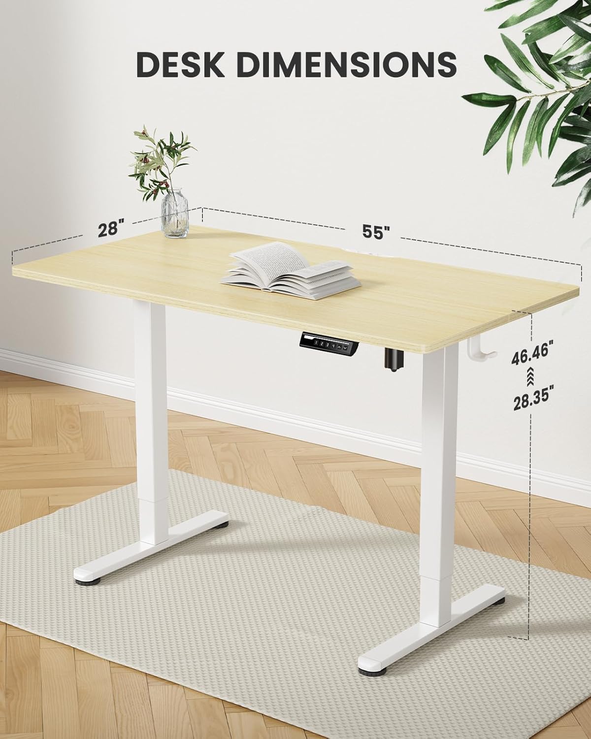 ErGear Height Adjustable Electric Standing Desk, 55 x 28 Inches Sit Stand up Desk, Large Memory Computer Home Office Desk with Two-Piece Desktop (Natural)
