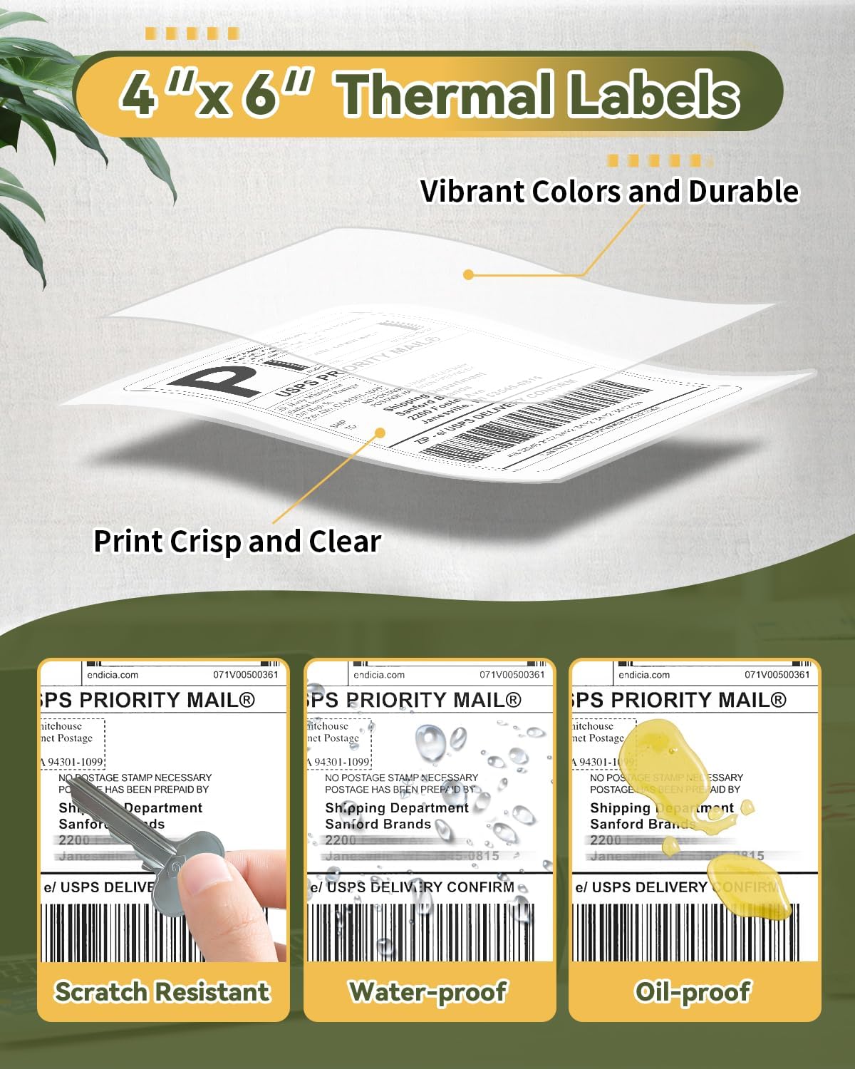 4x6 Thermal Labels, Shipping Address Label, Compatible with Most Thermal Printers, (Pack of 1000 4x6 Shipping Roll), Commercial Grade