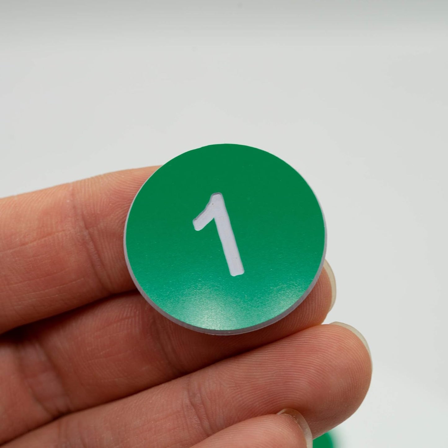 StayMax Plastic Number Tags Engraved Numbered Tags Without Hole (1-100, Green)