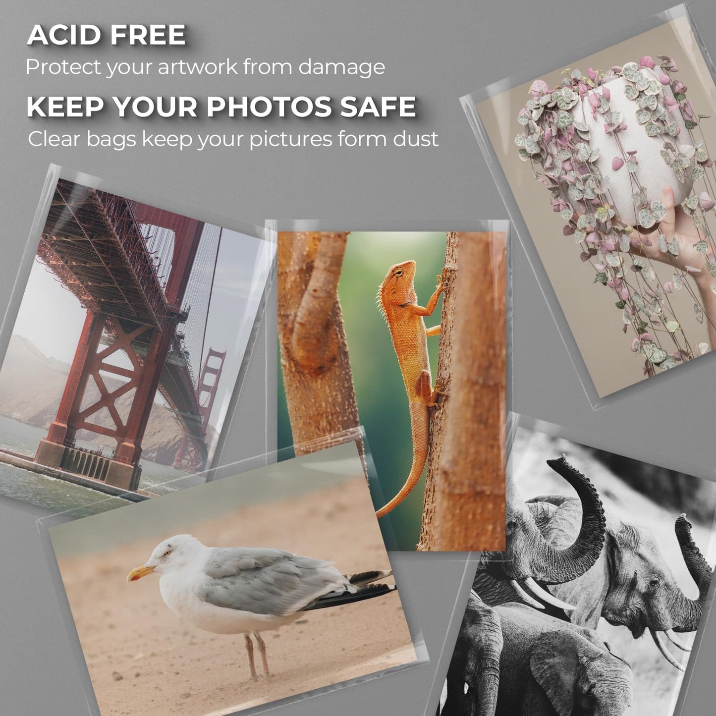 Frametory, 25 Pack 9 7/16"x12 1/4" Acid-Free Clear Plastic Bags, Self Seal Crystal Photo Sleeves for 9X12 Framing Mat Mattes, Prints, A4 & Letter Sized Documents