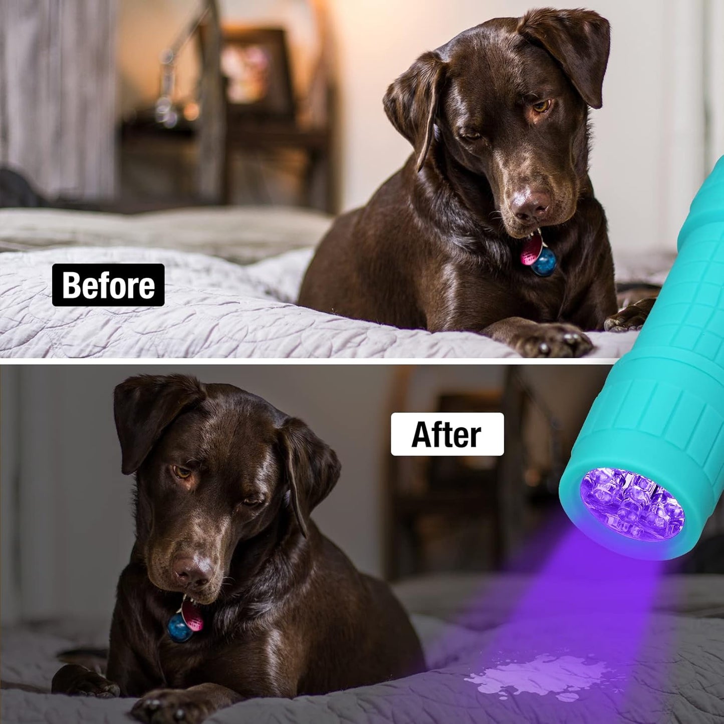 EverBrite Black Light Flashlight 6 Pack, UV Mini Flashlight, 9-Led 395nm Detector for Pet Urine, Stains, Scorpions, 18 AAA Batteries Included