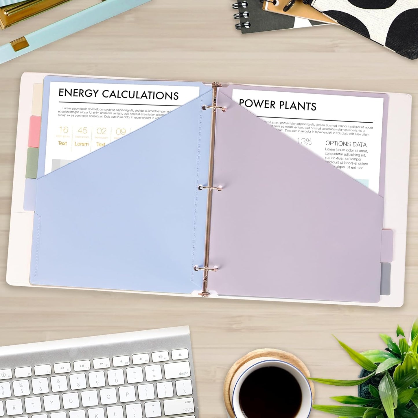 H4D 6-Tab Dividers for 3 Ring Binder, Plastic Dividers with Two Pockets, Letter Size, Morandi Colors, 6 Set