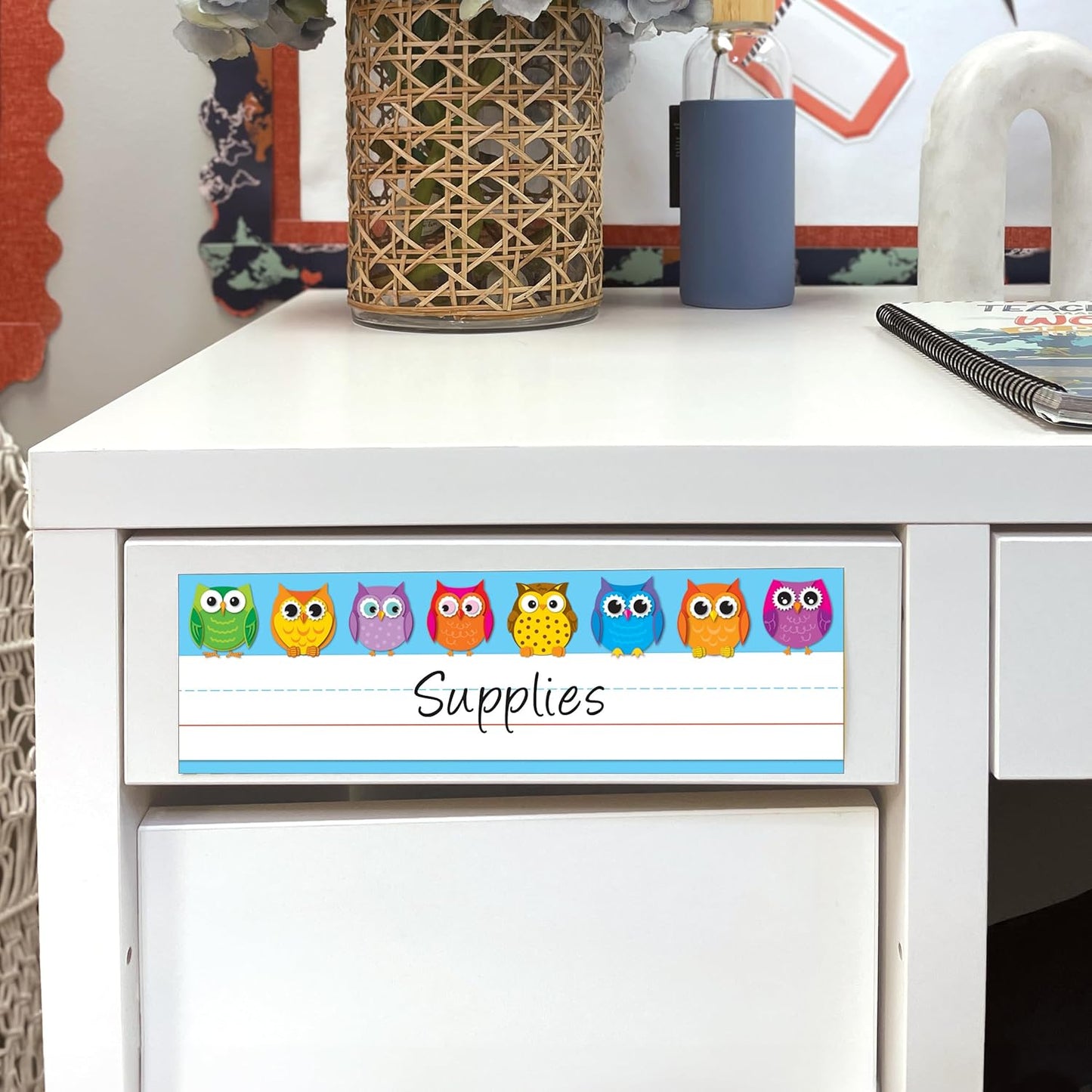 Carson Dellosa 36PC Owl Name Labels For Kids, Tags for Labeling Classroom, School Supplies, Chalkboard, Desk Organizer and Locker Organization Teacher Decor