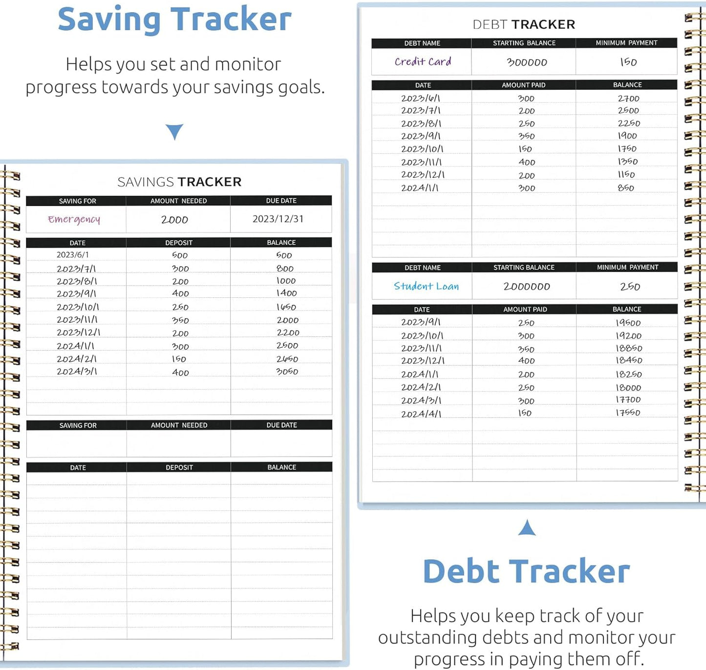 Aesthetic Budget Planner - Monthly Finance Planner with Expense Tracker Notebook, Undated Bill Organizer to Manage Your Finances, Account Book with Colorful Pattern-Azure Garden