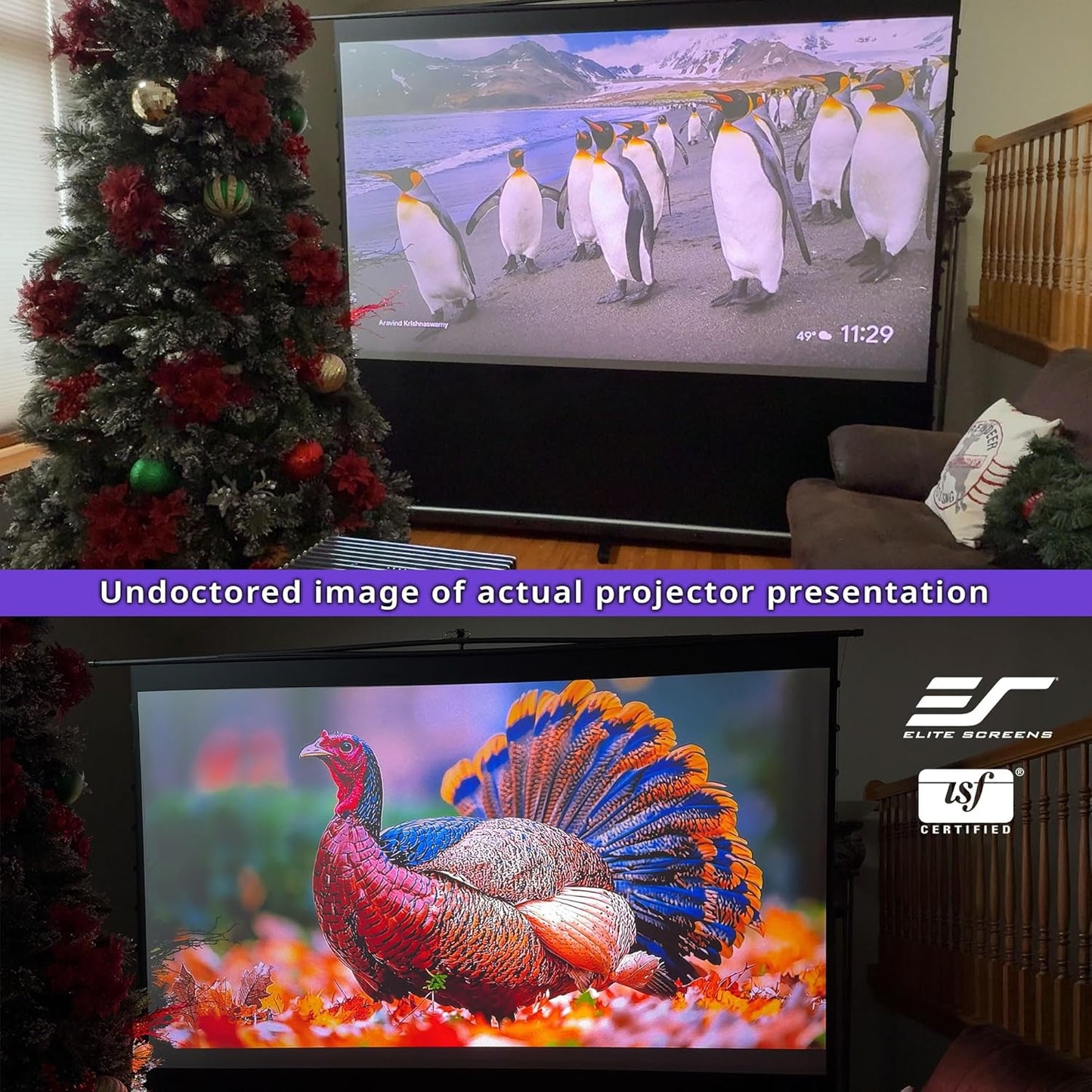 Elite Screens ezCinema Tab-Tension CineGrey 4D, 123-inch 16:9, Manual Floor Pull Up ISF Ceiling Ambient Light Rejecting, Portable Home Office Classroom Projector Screen with Carrying Bag, FT123UH-C4D