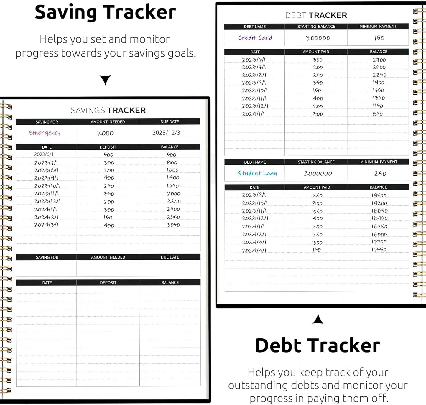 Aesthetic Budget Planner - Monthly Finance Planner with Expense Tracker, Undated Bill Organizer, Budget Notebook to Manage Your Finances, Account Budget Book with Colorful Pattern - Forest Botanica