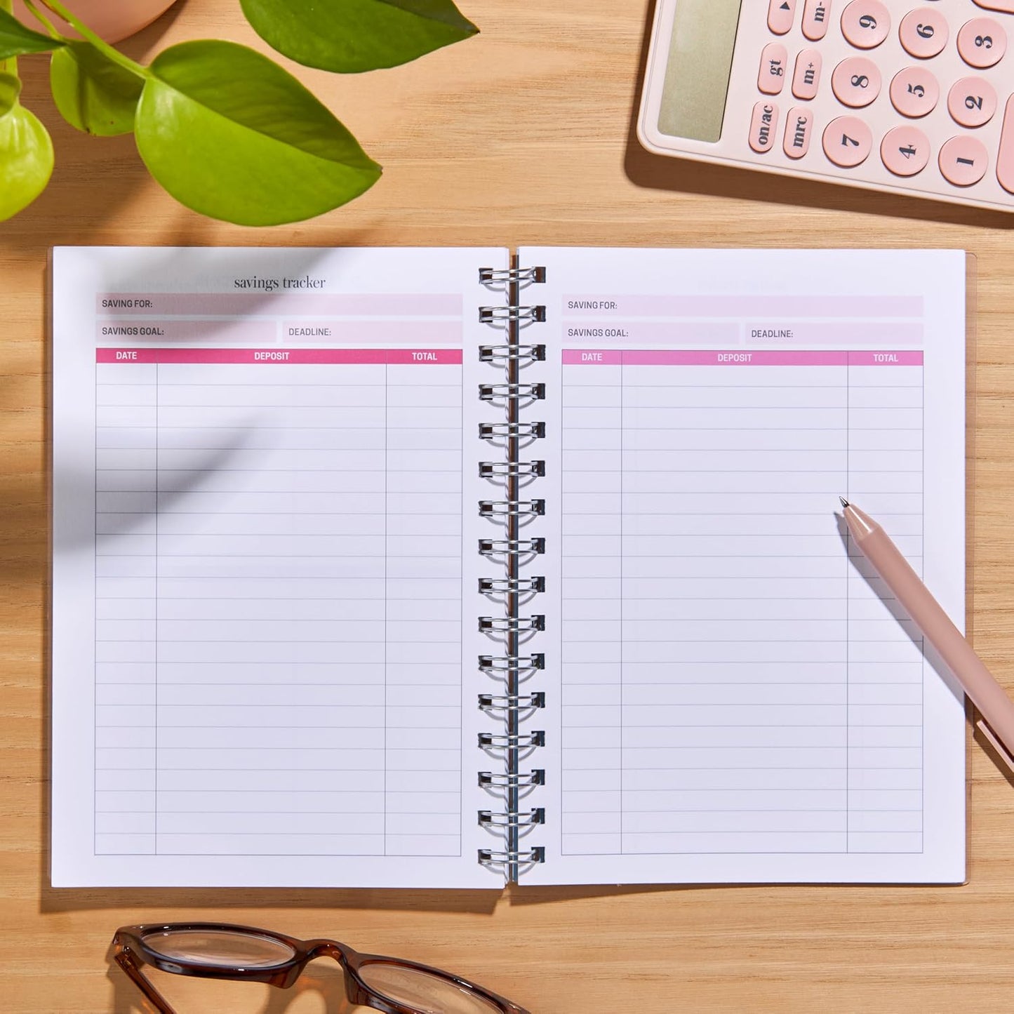 Erin Condren Inspired by Erin Condren Budget Planner, 12-Month Undated Spiral Financial Planner, Compact A5 Monthly & Weekly Budget Tracker with Layers Cover