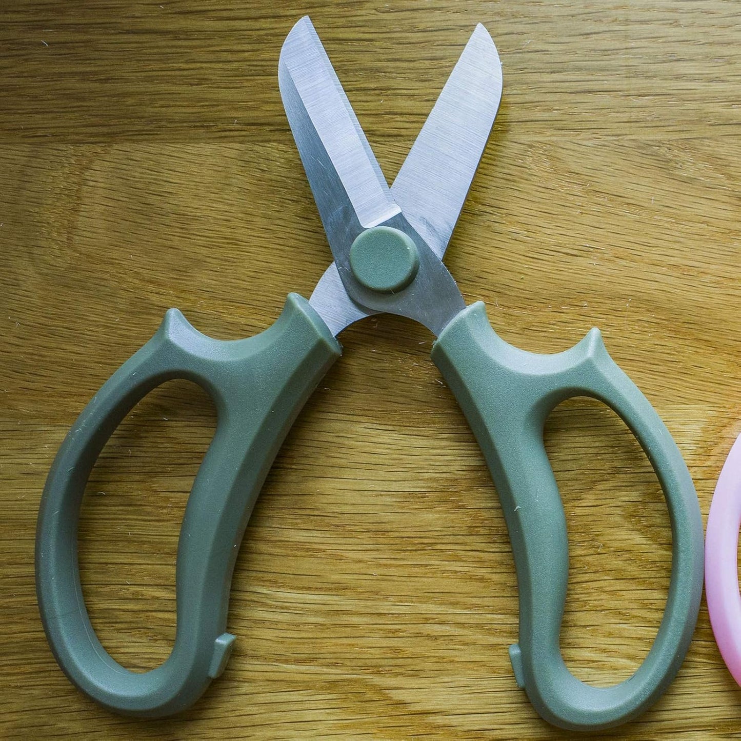 Leize Flower Scissors, Premium Thickened Stainless Steel Floral Shears, Strong Pruner for Flowers, Branches and Leaves (Grey Green)