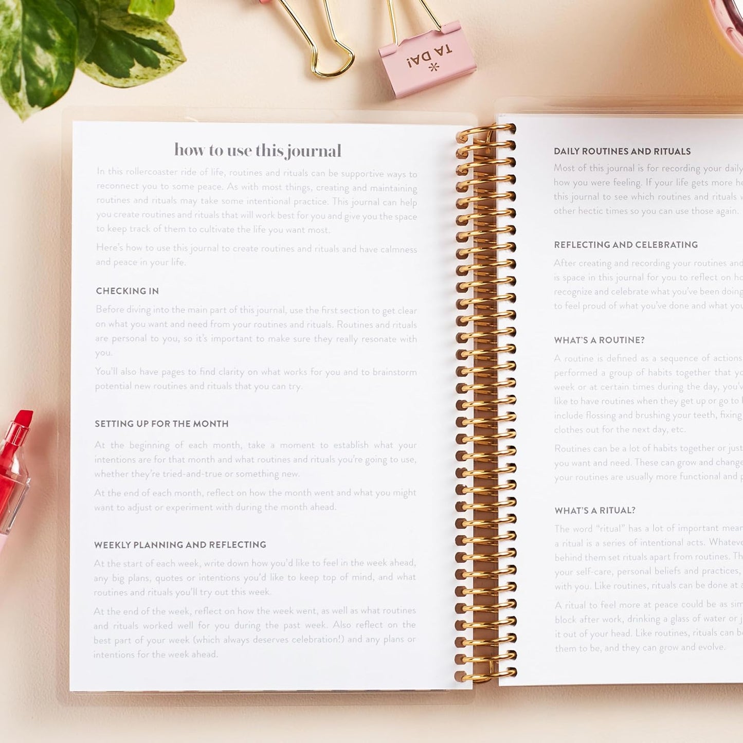 Erin Condren A5 Spiral Daily Routines & Rituals Journal | 3 Months Of Daily Intentions. Weekly And Monthly Check-In Pages, Lined Notes Sections.