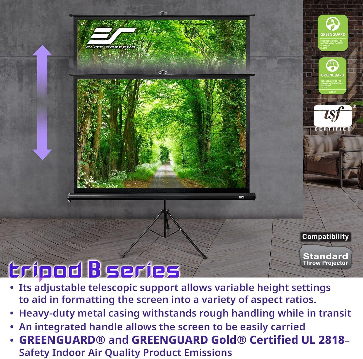 Elite Screens TRIPOD B, 113-INCH, 1:1, Lightweight Pull Up Foldable Stand, Manual, Movie Home Theater Projector Screen, 4K / 8K Ultra HDR 3D Ready, US Based Company 2-YEAR WARRANTY, T113SB, black